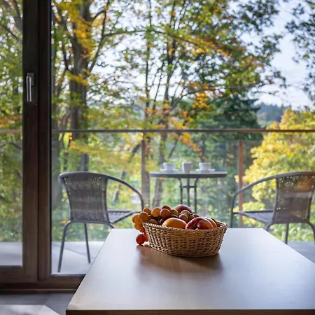Invest Stone Hill C38- Z Dostepem Do Strefy Apartmán Sklářská Poruba